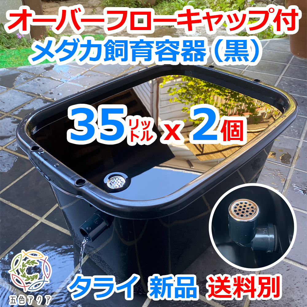 2026年最新】Yahoo!オークション -メダカ飼育容器の中古品・新品・未