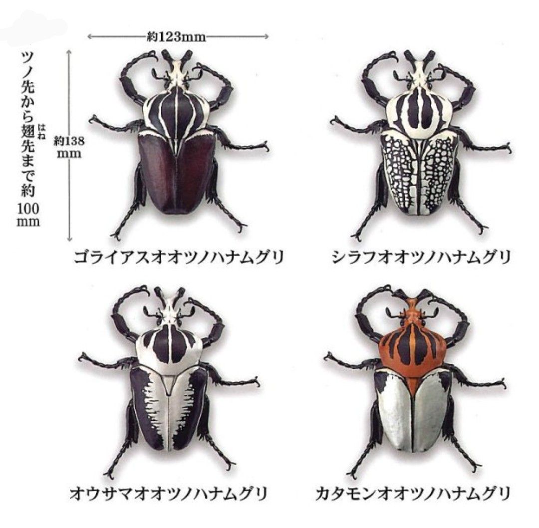 1/1 ゴライアス オオツノハナムグリ 全4種 セット｜Yahoo!フリマ（旧
