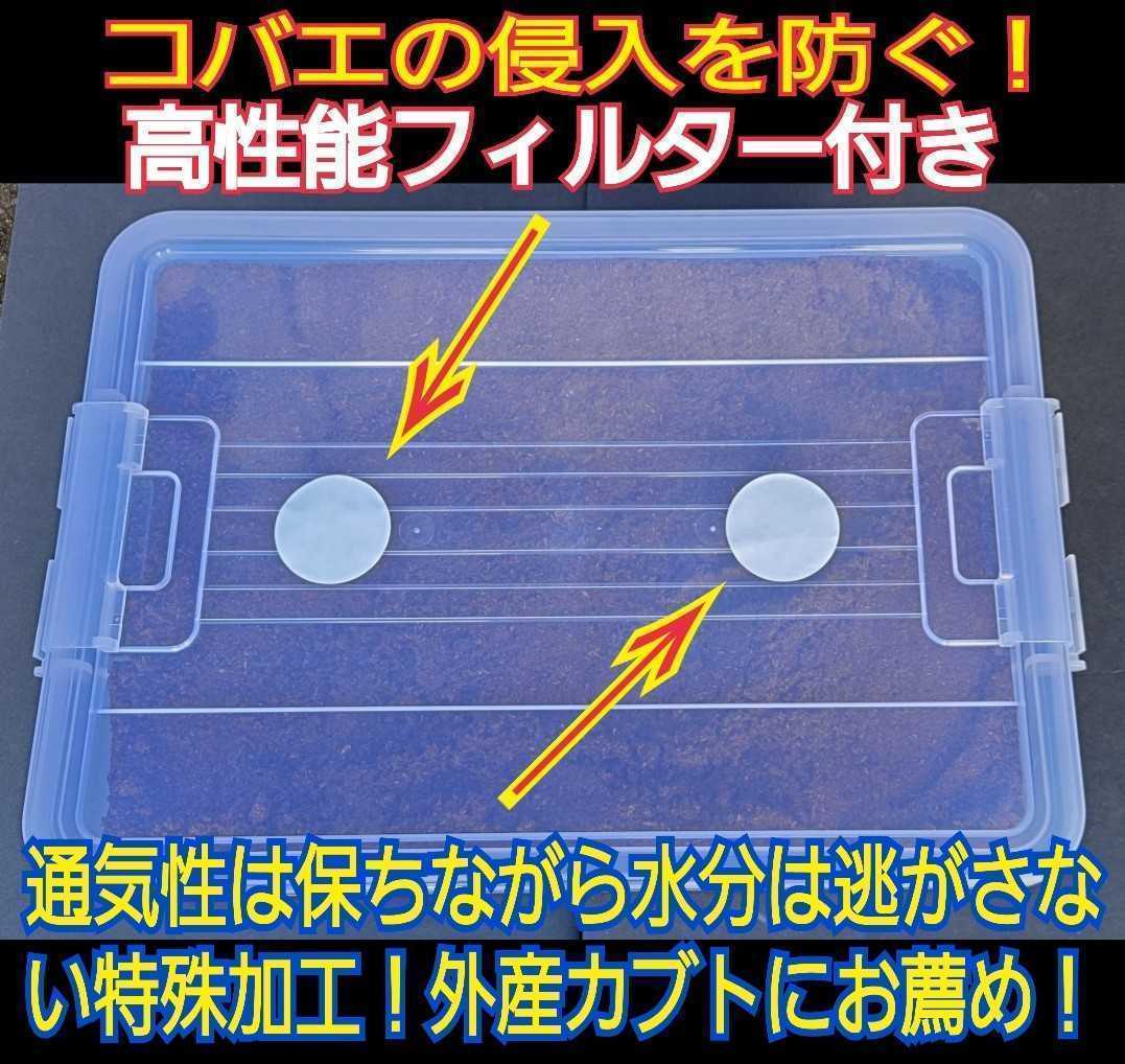 2セット】カブトムシ幼虫を入れるだけ 便利 ケース入りプレミアム3次