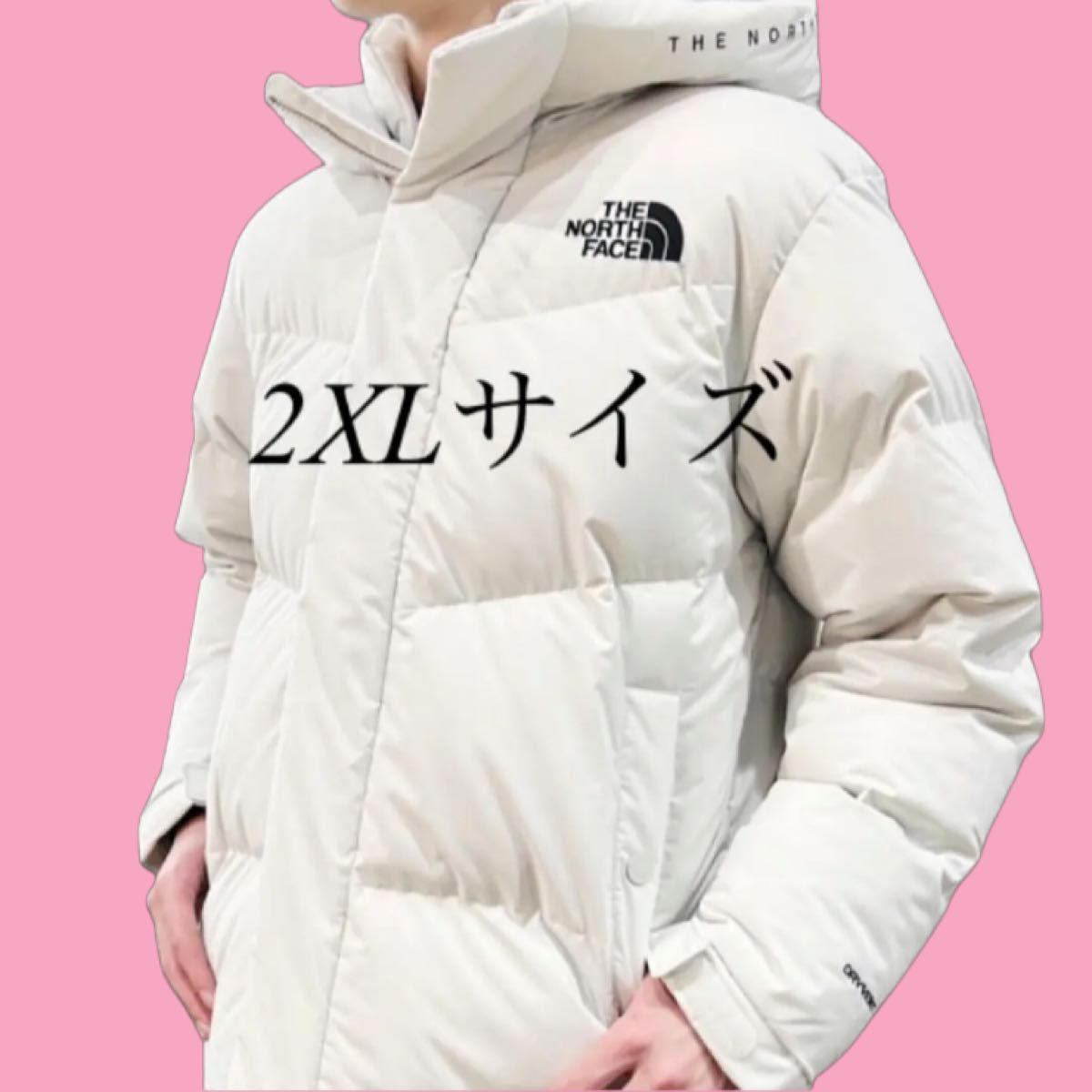 THE NORTH FACE 新品未使用 韓国正規品 ノースフェイス フリームーブ