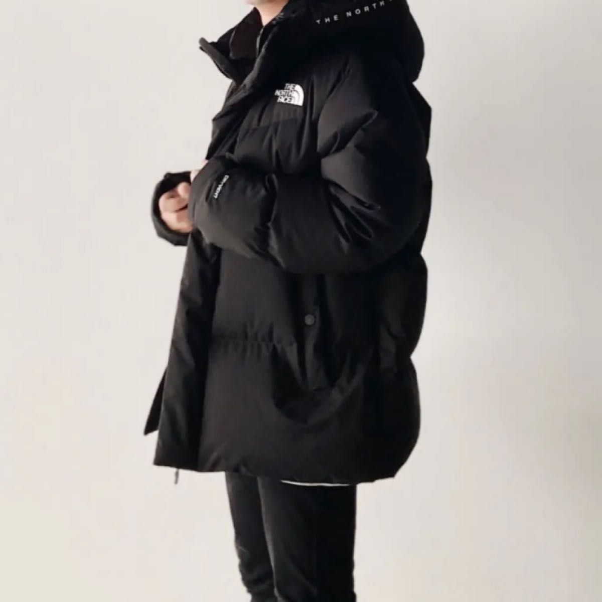 THE NORTH FACE 新品未使用 韓国正規品 ノースフェイス フリームーブ