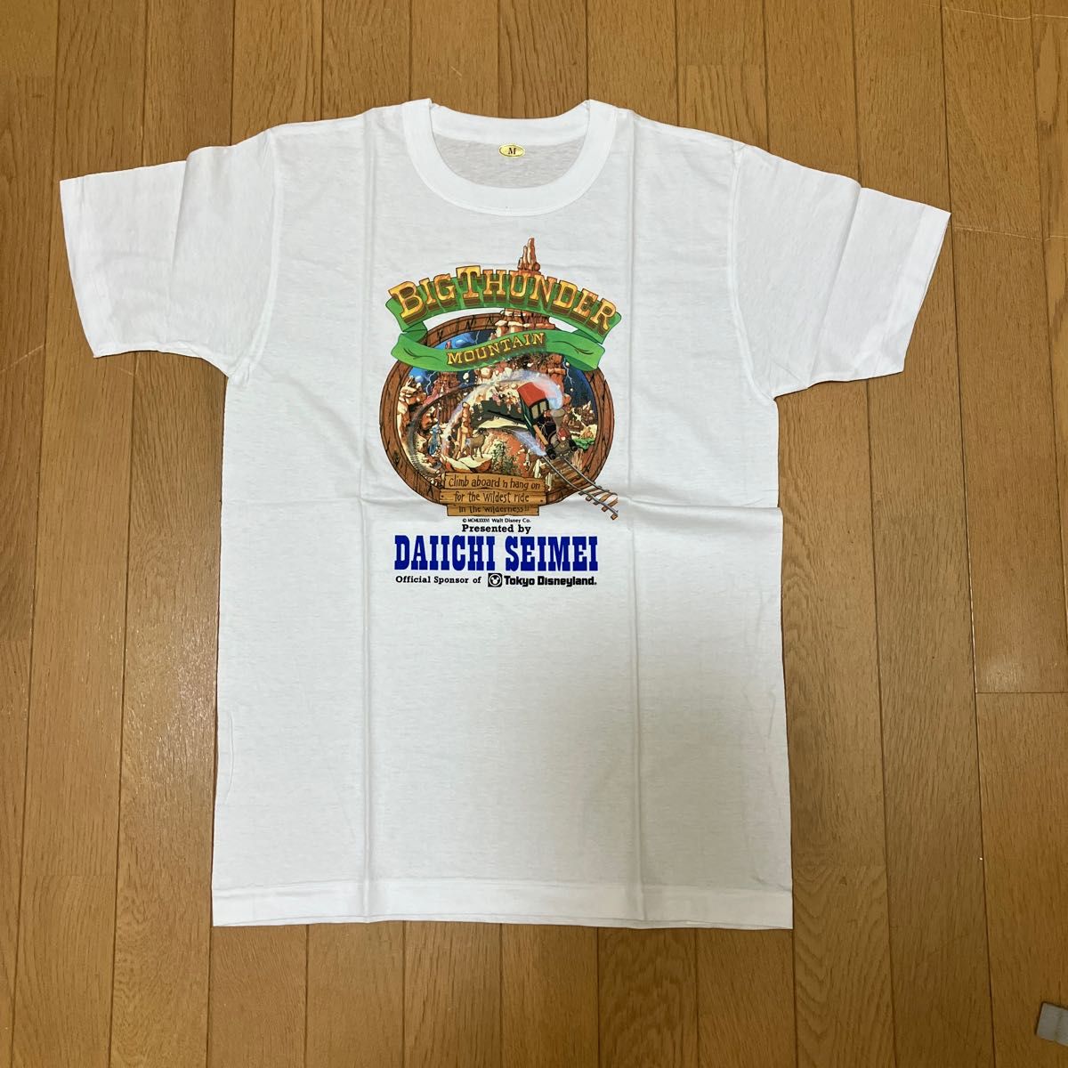 ビックサンダーマウンテンのTシャツ｜Yahoo!フリマ（旧PayPayフリマ）