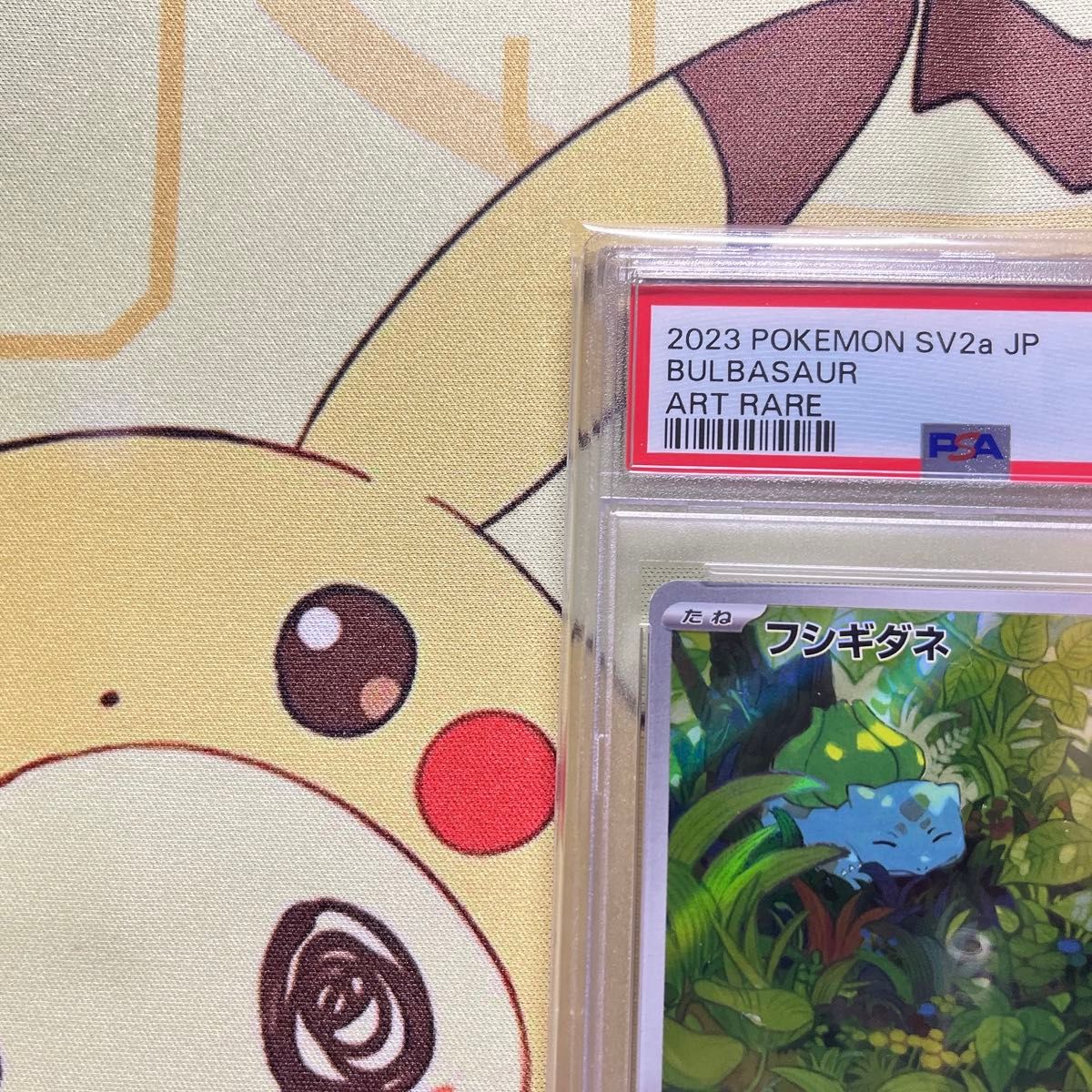 PSA10 フシギダネ AR ポケモンカード151｜Yahoo!フリマ（旧PayPayフリマ）