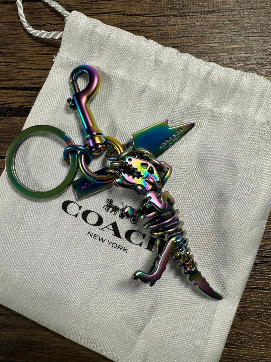 COACHレキシーチャーム レインボー COACHのレキシー、レインボー