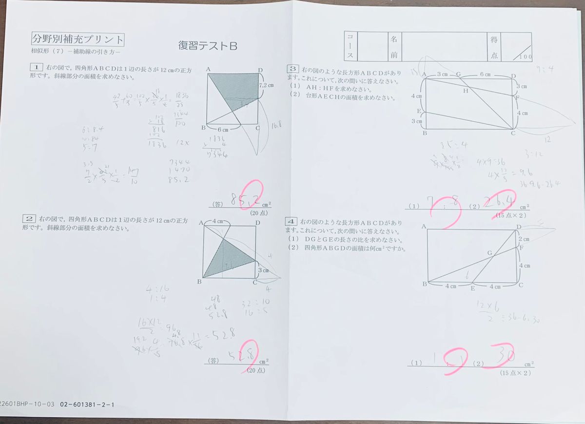 サピックス 小学6年後期 分野別補充プリント16回 中学入試 御三家 最