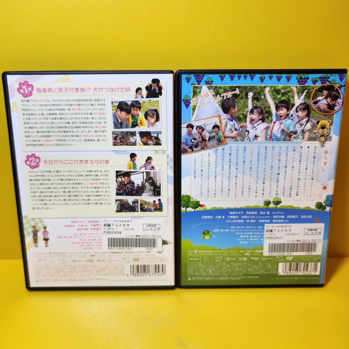 新品ケース交換済み マルモのおきて DVD 全6巻+スペシャル｜Yahoo
