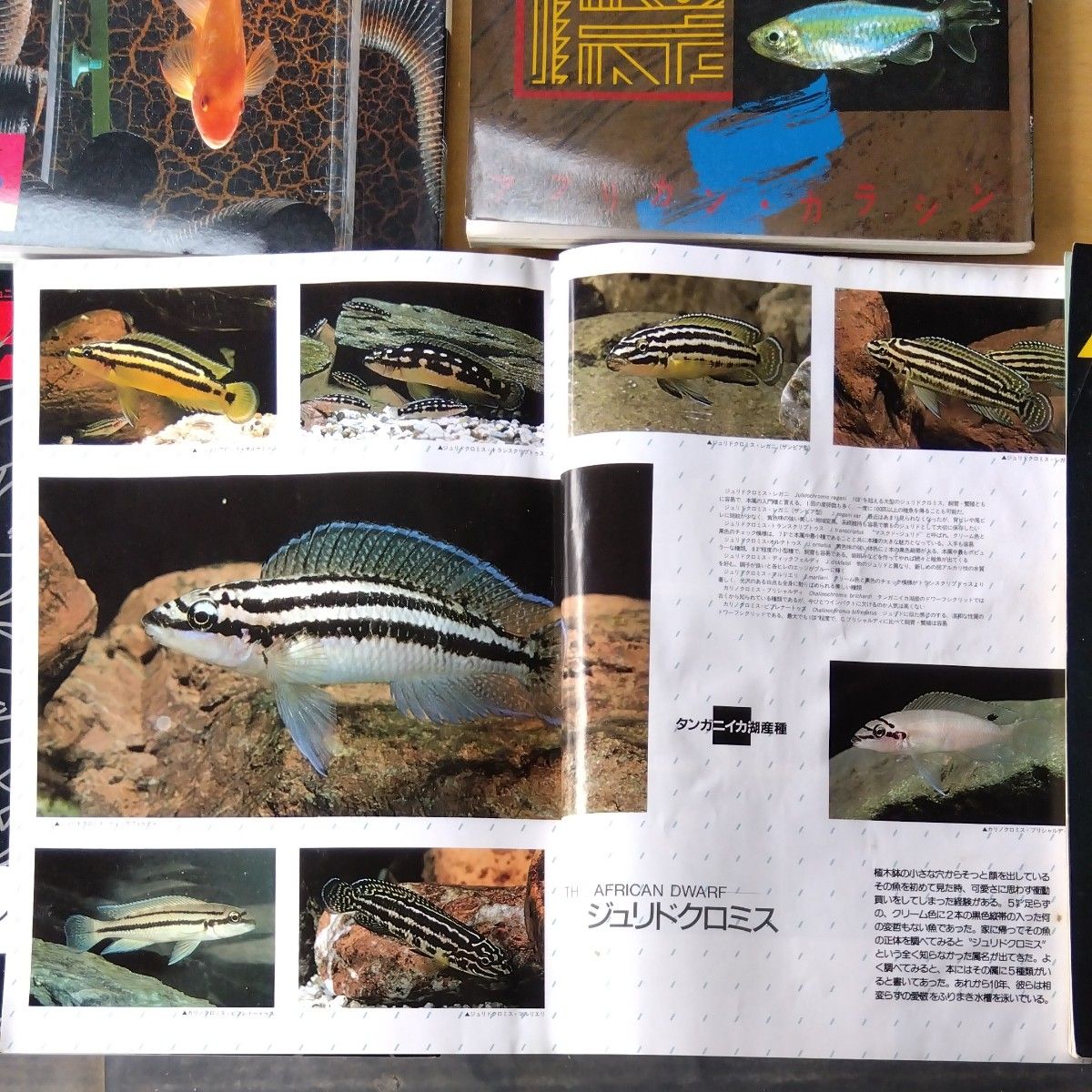 アクアライフ昭和当時物 1987年1 2 3 4 5 6 8 9 10 11 12月号7月号は欠