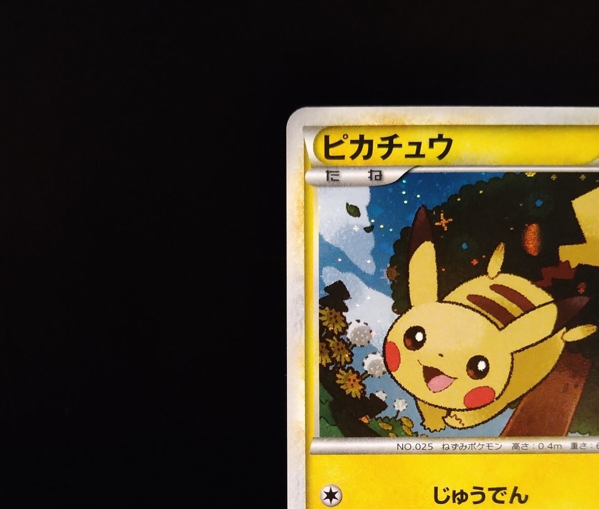 ピカチュウ ポケモンだいすきクラブ 019/L-P ポイント デカホロ 十字