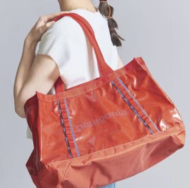 即完売 希少 Patagonia パタゴニア ブラックホール・トートバック 25L