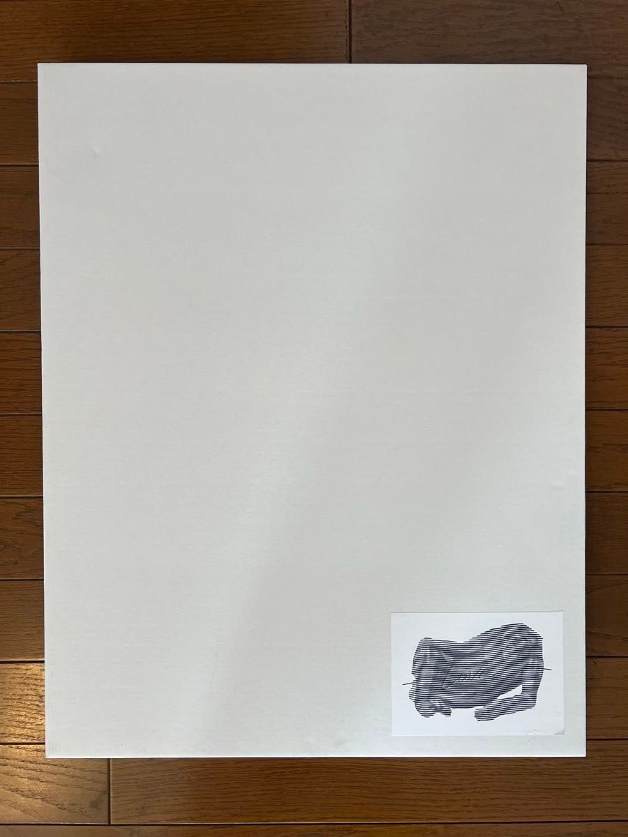 希少 入手困難品 】新品未使用 AICON 20部限定販売アート シルク