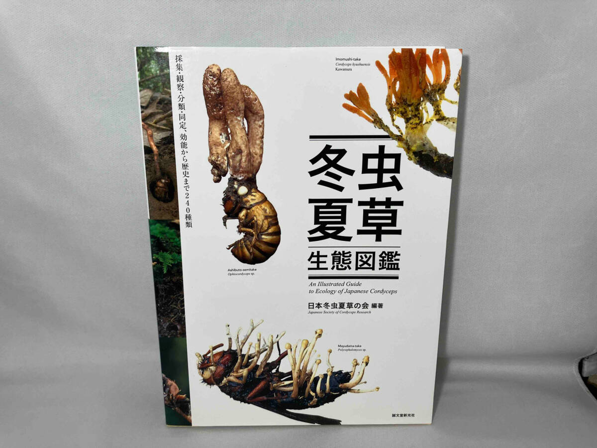 Yahoo!オークション - 冬虫夏草生態図鑑 日本冬虫夏草の会