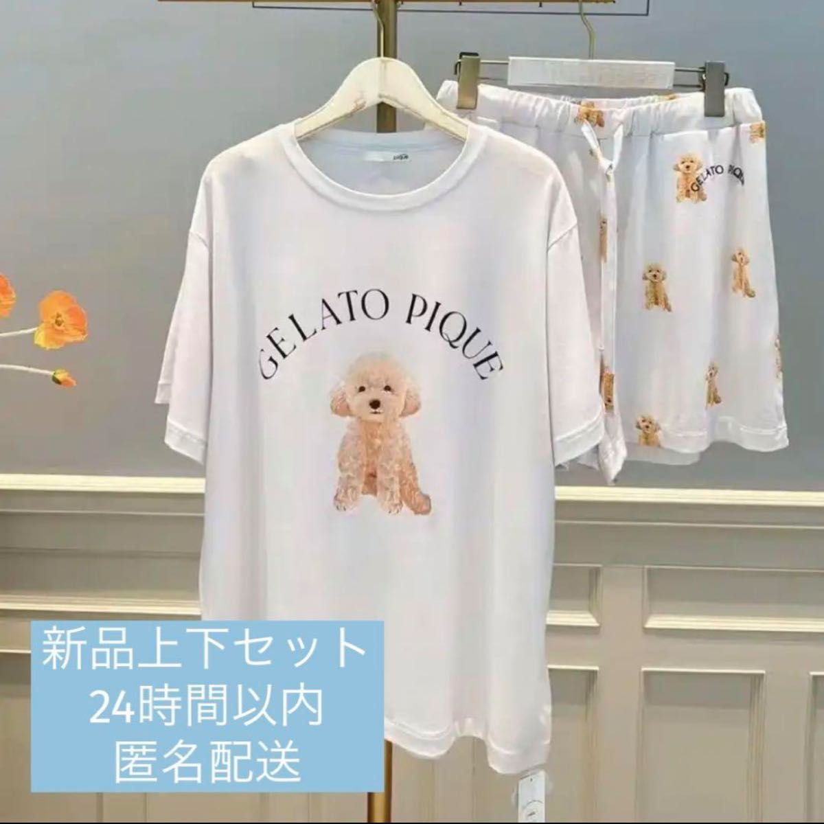 ジェラートピケ トイプードル 半袖 上下 セット ショートパンツ 新品