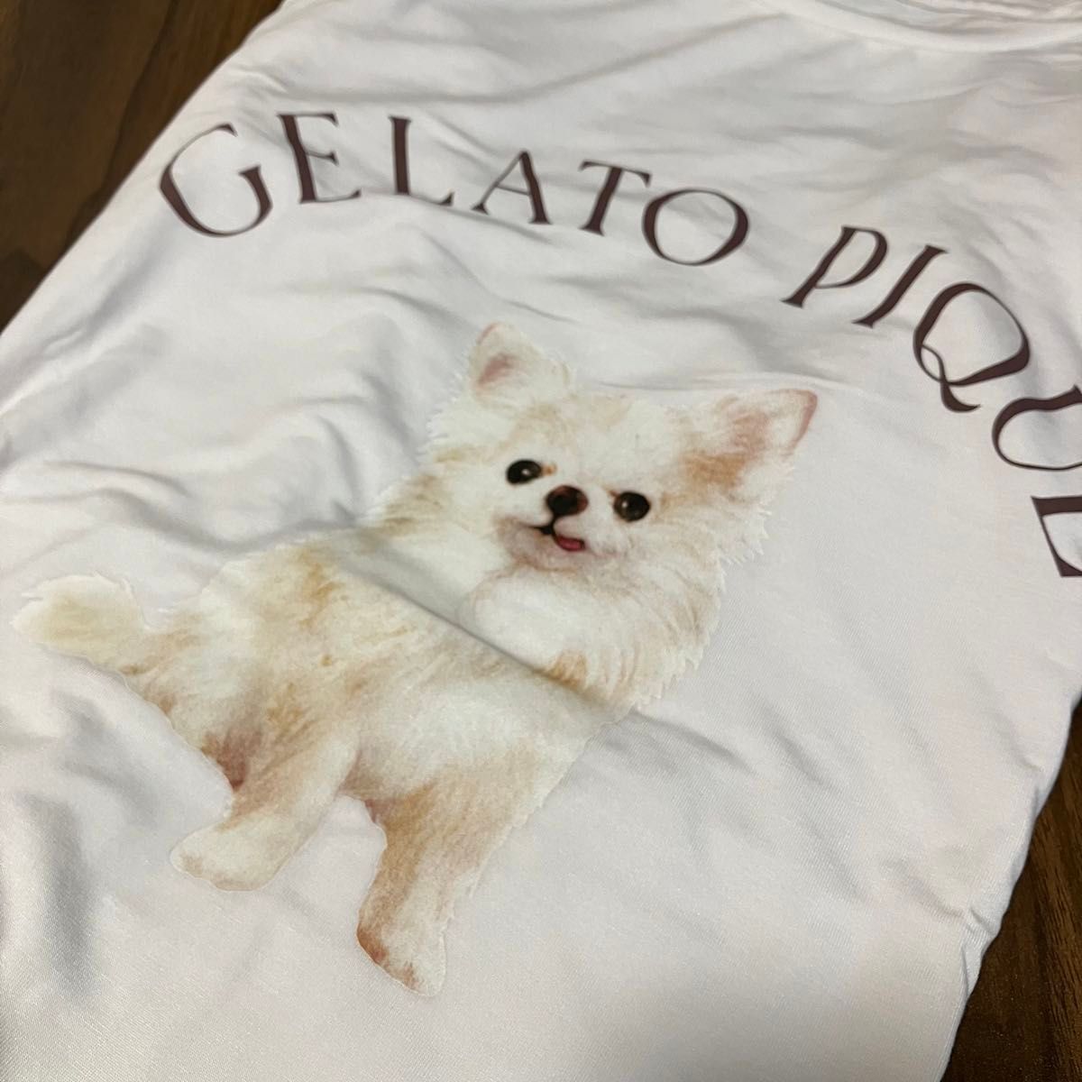 新品未使用 ジェラートピケ DOG柄 上下セット チワワ ショートパンツ