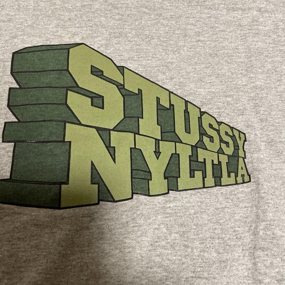 old stussy ステューシー Tシャツ 00s 銀タグ MADE IN USA アメリカ製