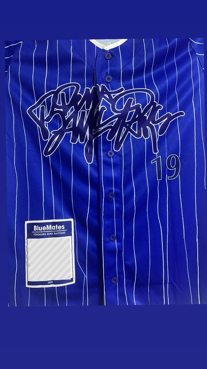 横浜 DeNA ベイスターズ ファンクラブ BLUEMATES ファンクラブ