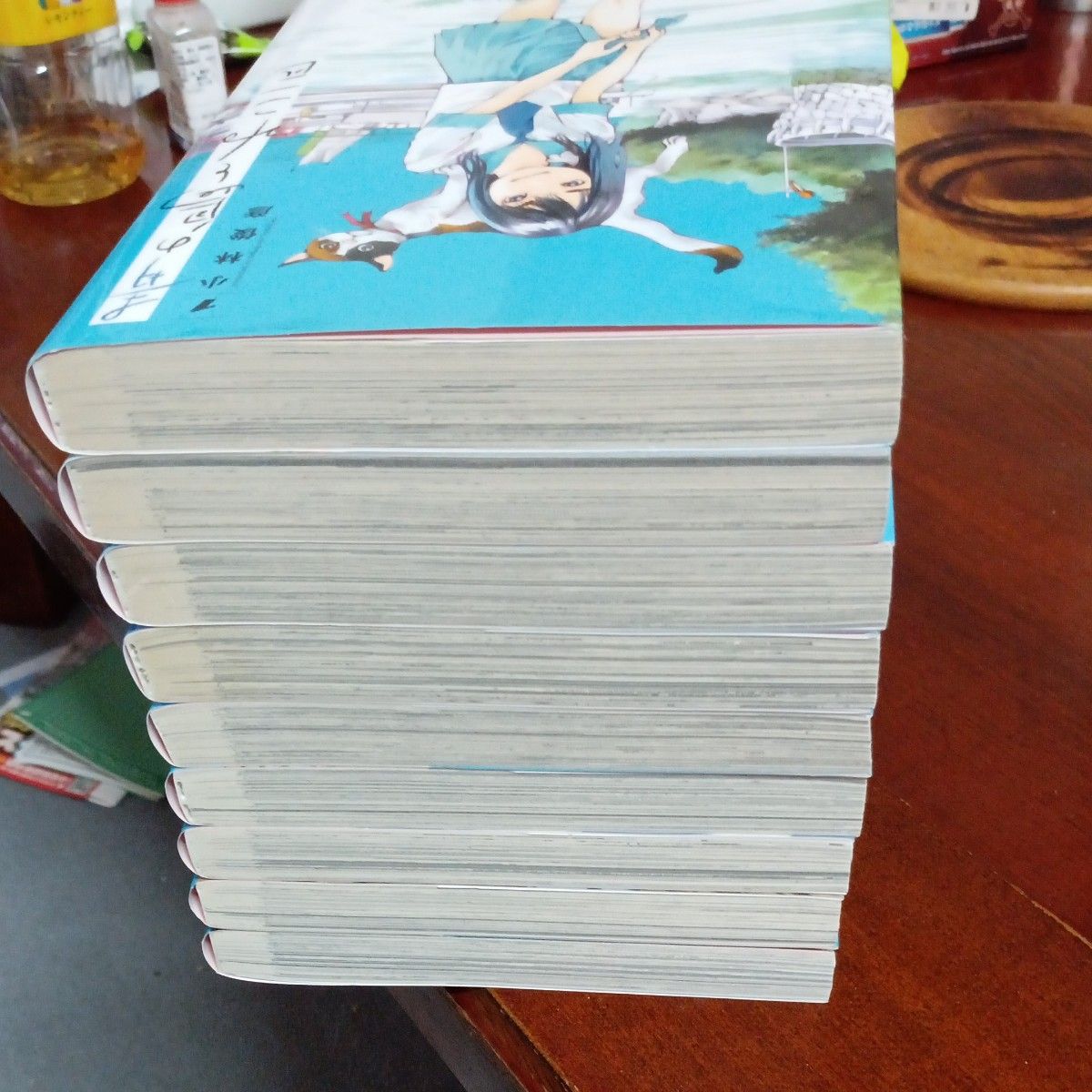 ほぼ未使用 全巻初版 既刊9巻全巻セット 青の島とねこ一匹 （ヤング