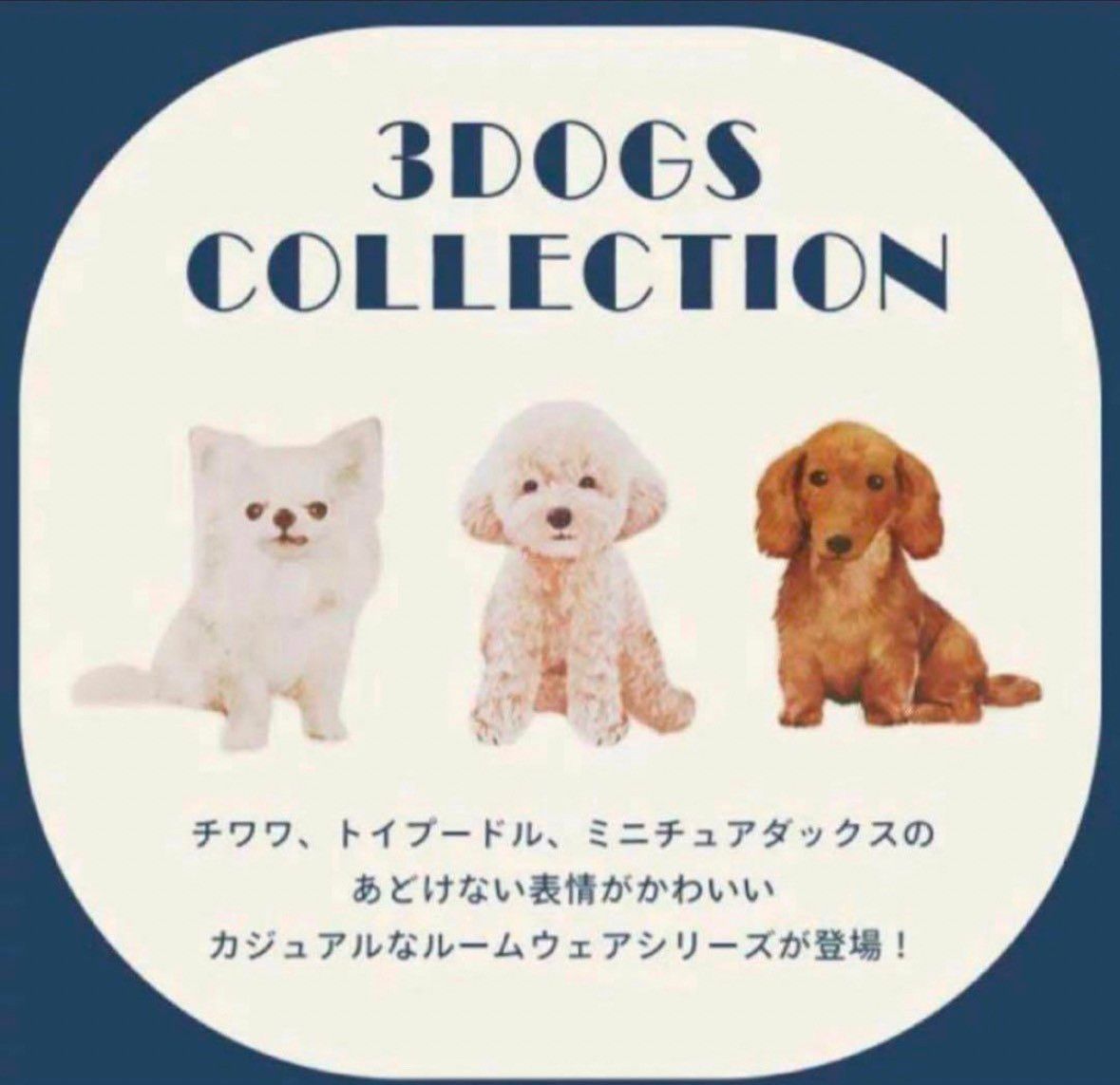 ジェラピケ ジェラートピケ DOG柄 Tシャツ パンツ上下セット チワワ
