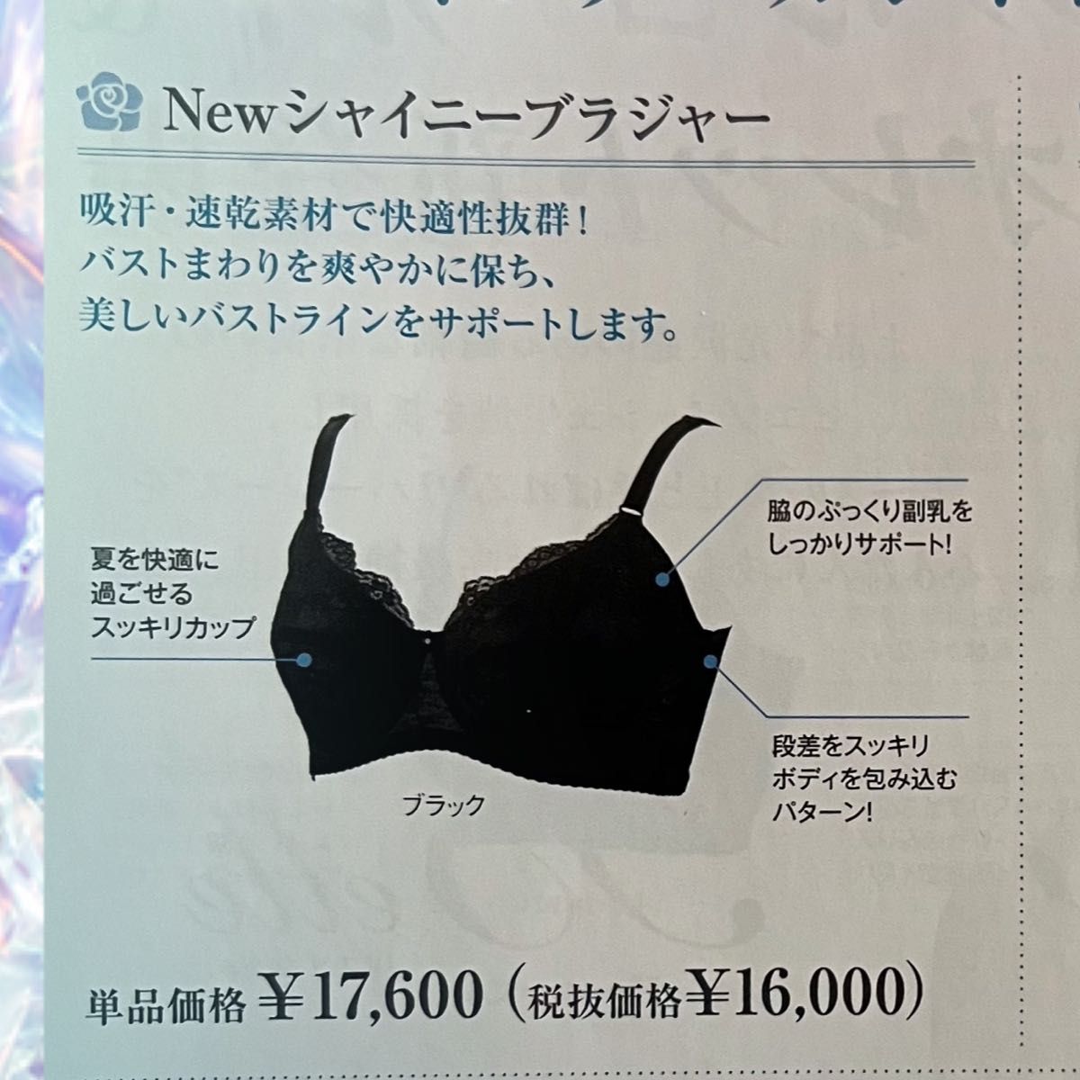シャンデールシャイニー ブラジャーD75 フルカップ グラマーカップ