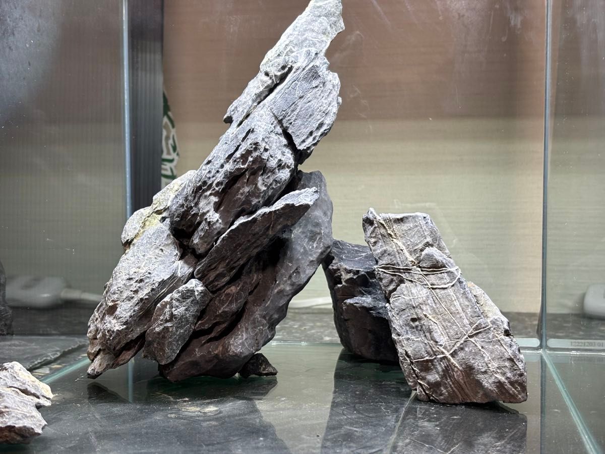 ADA 龍王石 レイアウト 石組 親石付 清流石 青龍石 水槽 アクアリウム