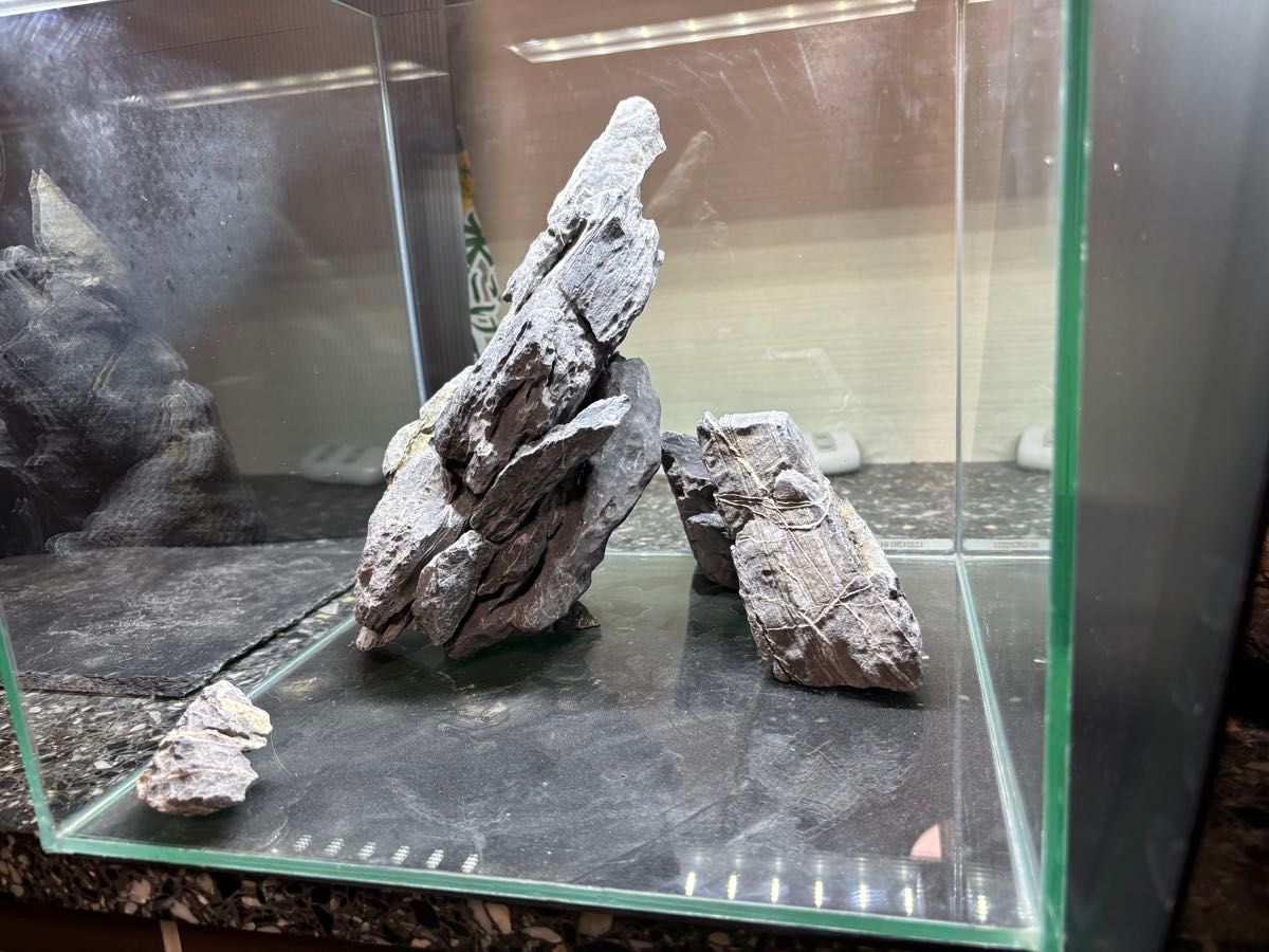 ADA 龍王石 レイアウト 石組 親石付 清流石 青龍石 水槽 アクアリウム