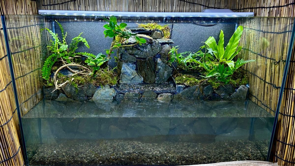 水の流れる滝テラリウム水槽 60センチオールガラス｜Yahoo!フリマ（旧