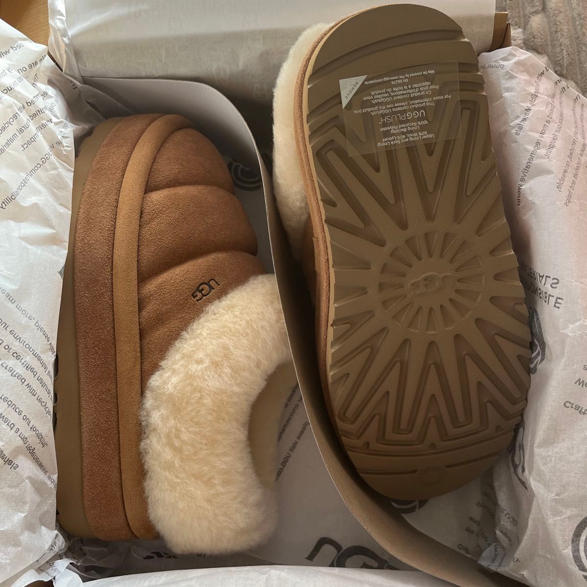 UGG Tazzlita 7 (US) 24cm チェスナット 新品未使用正規品 アグ