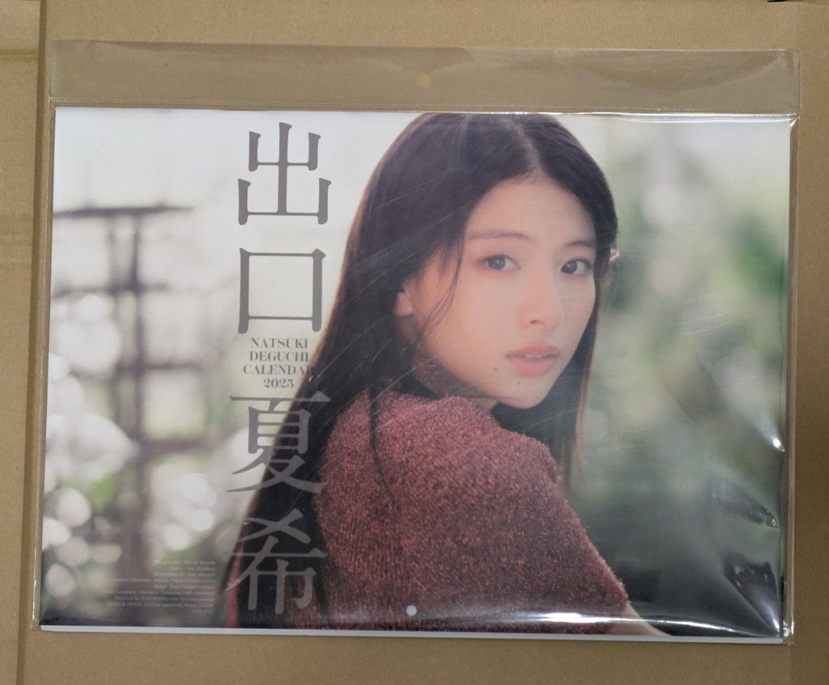 定価以下 新品未開封】出口夏希 2025年 壁掛けカレンダー｜Yahoo