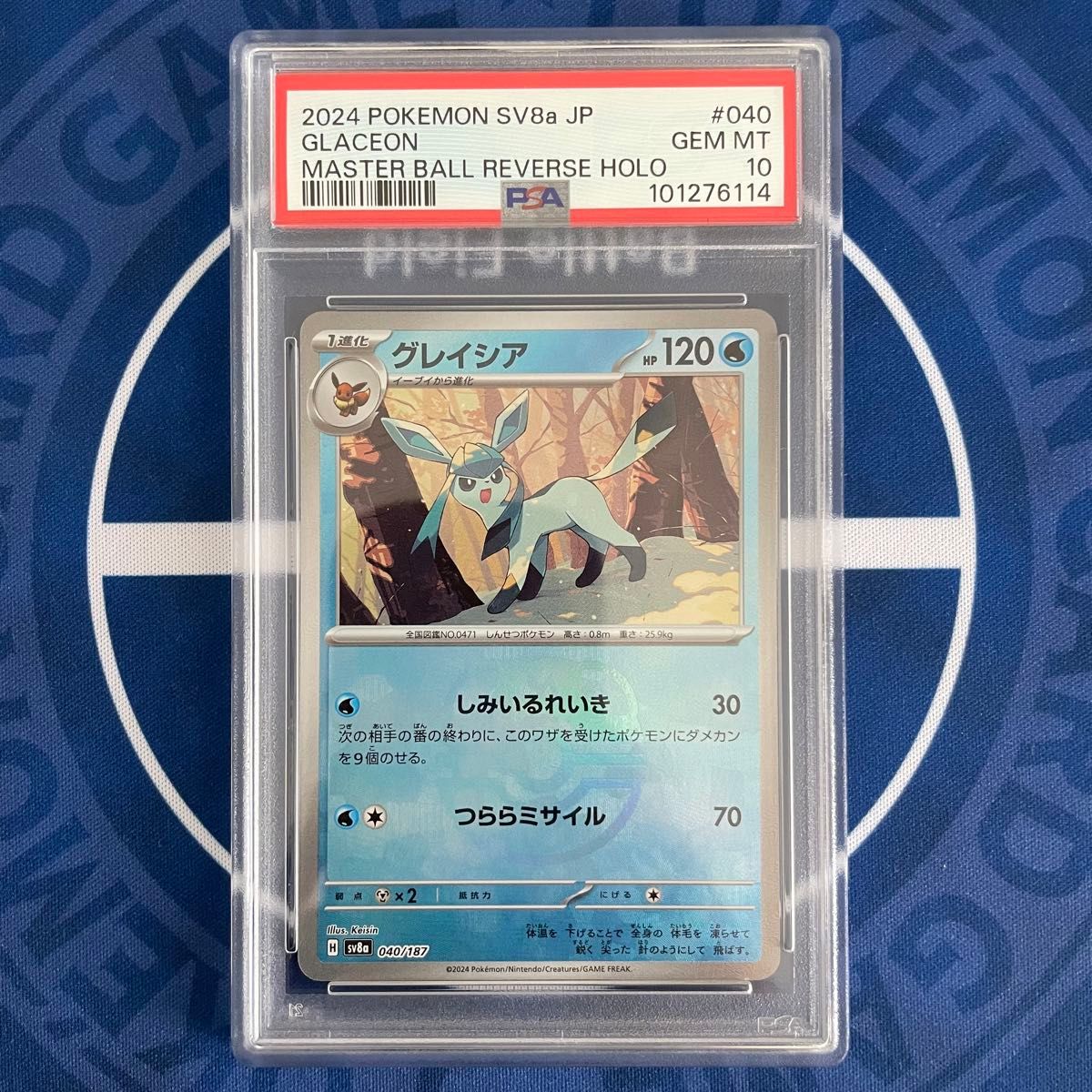 PSA10】2024 ポケモンカード イーブイ #125 GEM MT 10