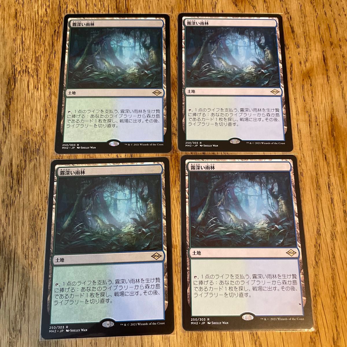 MTG【霧深い雨林】日本語版 4枚 霧深い雨林 日本語版4枚セット MTG 霧