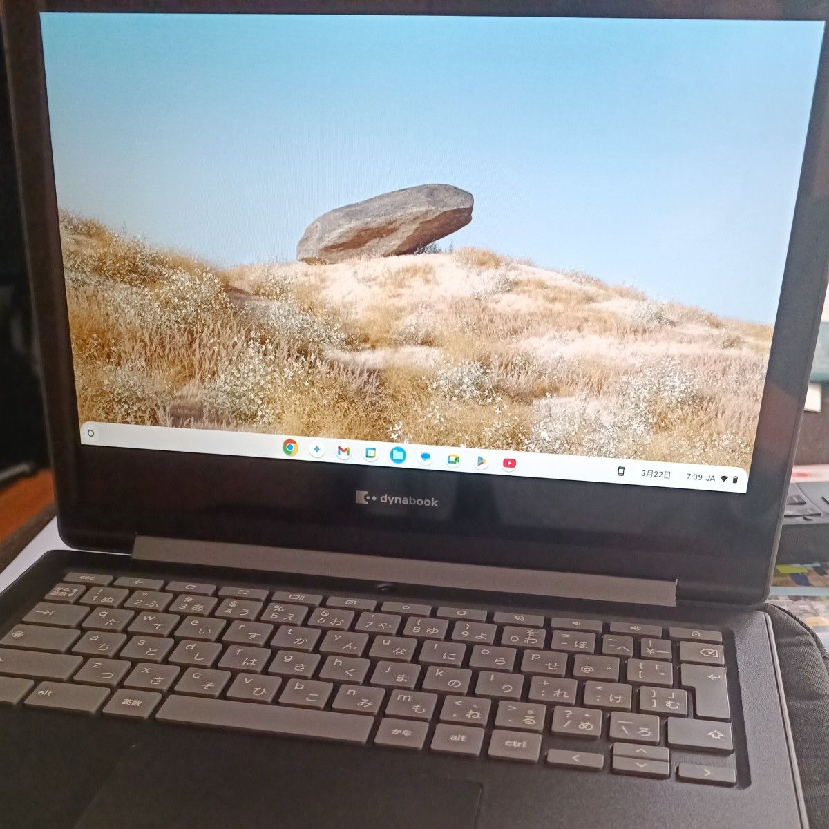dynabook chromebook c1 sh-w02｜Yahoo!フリマ（旧PayPayフリマ）