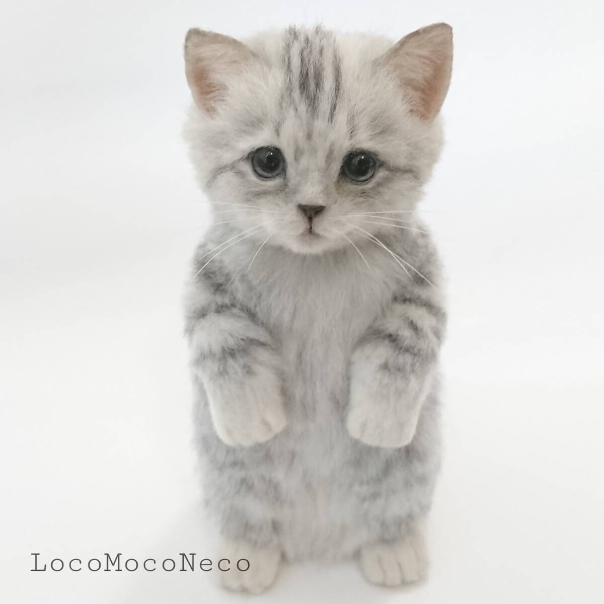 Yahoo!オークション - LocoMocoNeco 羊毛フェルト 猫 マンチカンの子猫