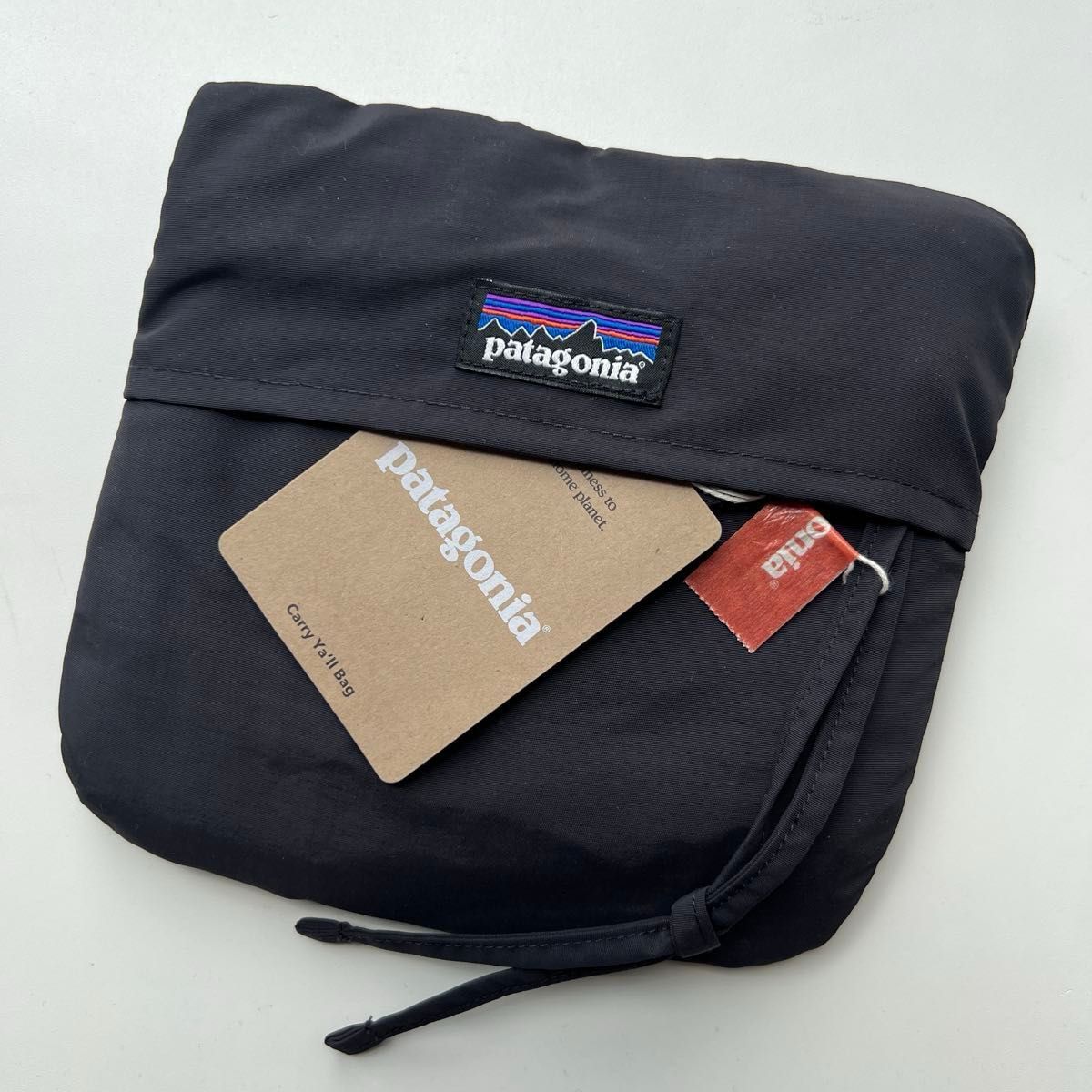 希少カラー パタゴニア キャリーエールバッグ スペシャル Patagonia