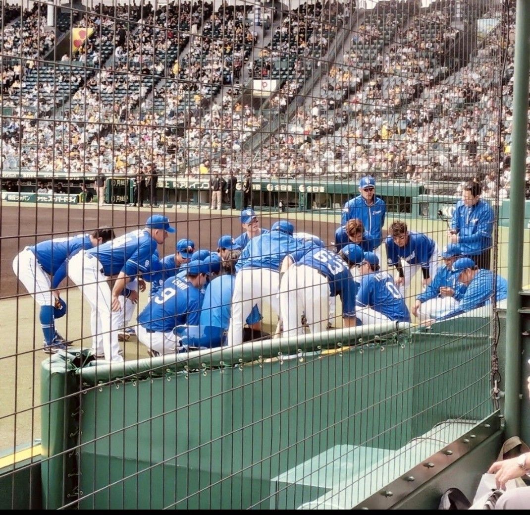 ビジターファン垂涎】6/6(金) 甲子園 阪神対オリックス 3塁SMBCシート1