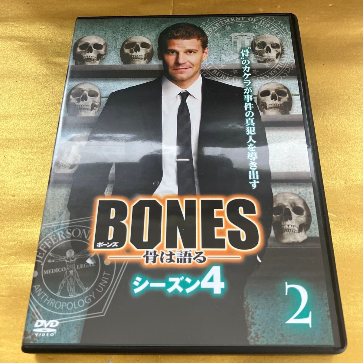 DVD】BONESボーンズ・骨は語る・シーズン4コレクターズBOX 7枚組 海外