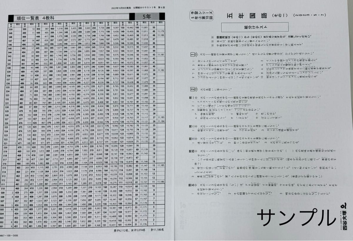 四谷大塚 組分けテスト 5年生 2024年23年22年 3年分過去問・解答資料