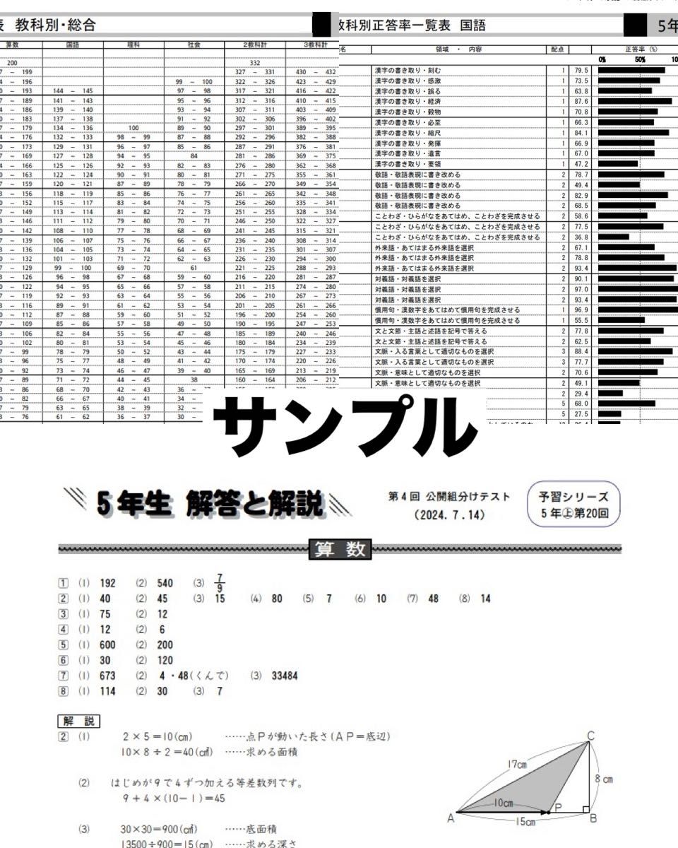 最新 2024年度 5年生 年間分 第1回〜第9回 四谷大塚 組分けテスト 過去