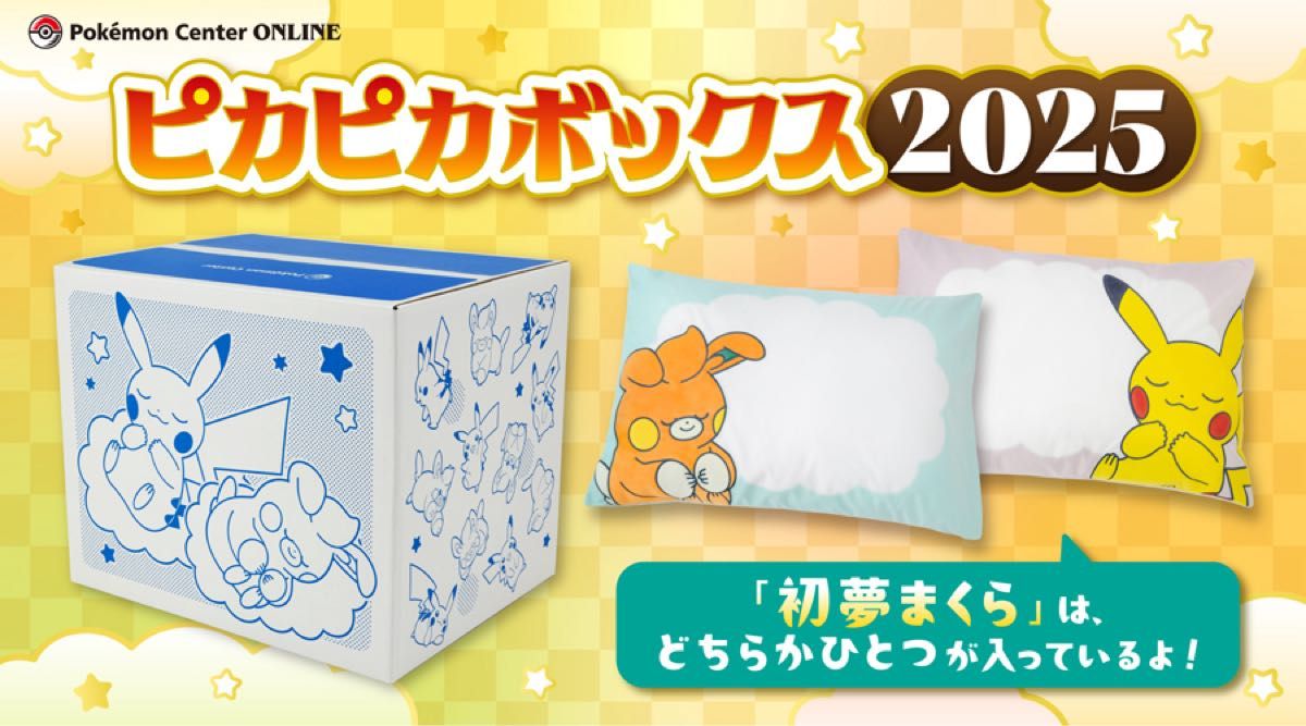 ピカピカボックス 2025 抜きなし ポケモンセンターオンライン 福袋