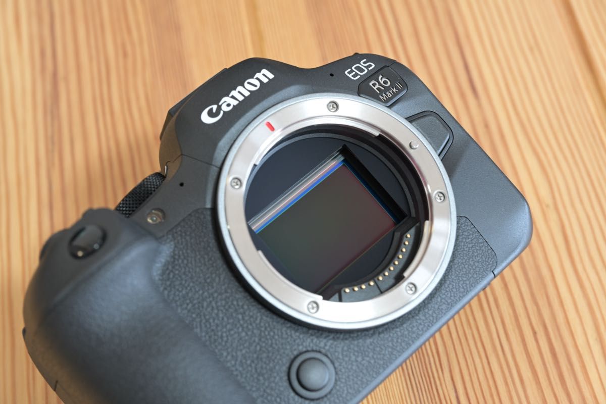 CANON eos R6markⅡ未使用に近い美品 保証付｜Yahoo!フリマ（旧PayPay