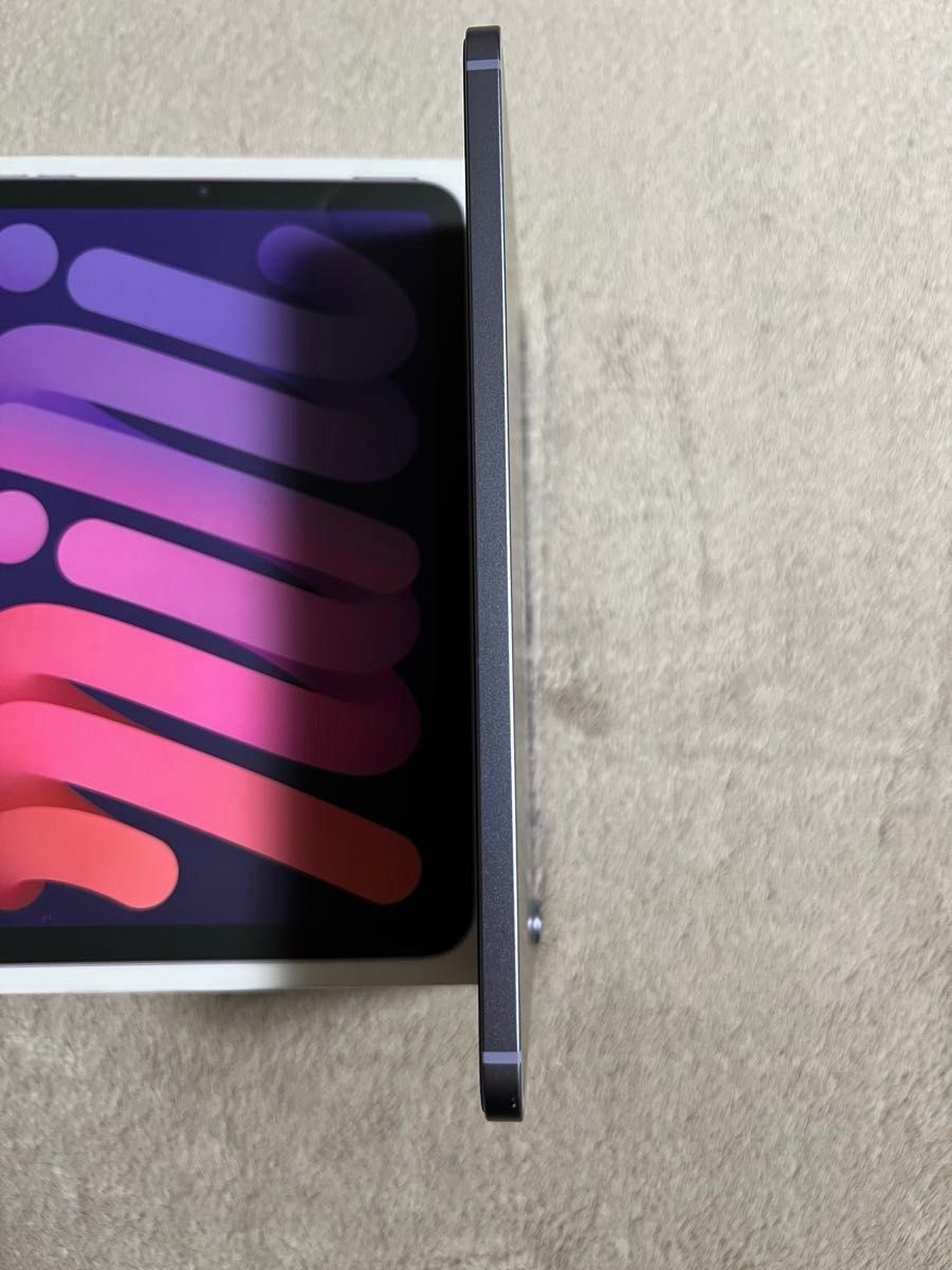 iPad mini 第6世代 Cellular SIMフリー 256GB バッテリー100% パープル