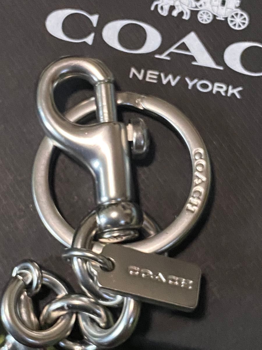 コーチ COACH チェリー バッグチャーム キーリング キーホルダー