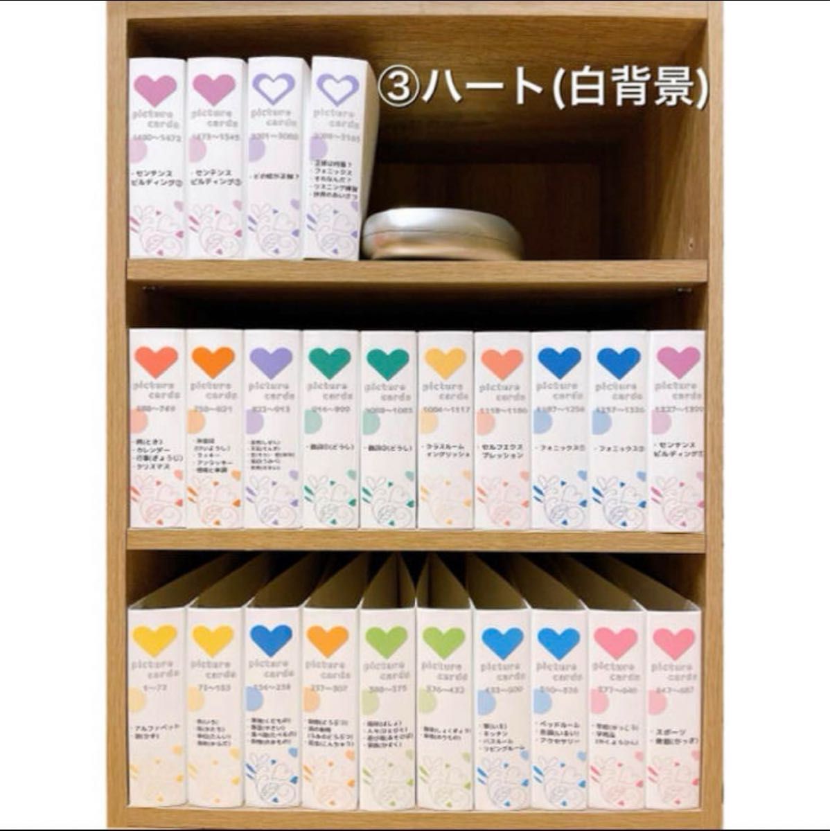 ペッピーキッズ】背表紙24枚(4種類あり)ピクチャーカード 収納ファイル