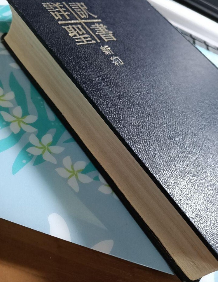 詳訳聖書 新約 詳訳聖書 新約 詳訳聖書 新約