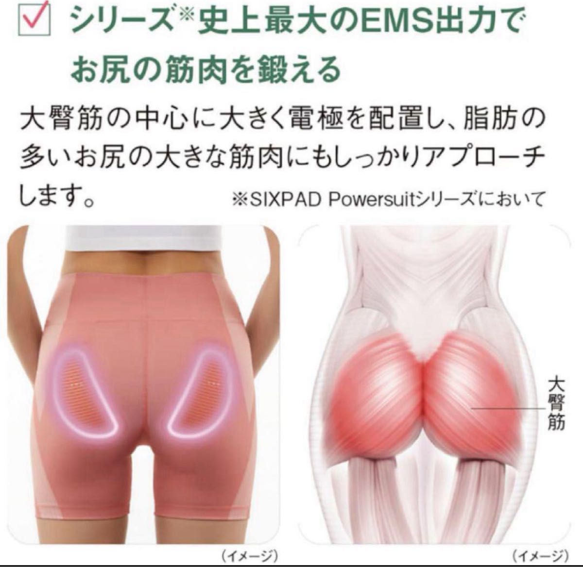 SixPAD Hip Fit Sサイズ ピンク SIXPAD Hip Fit Sサイズ ピンク SixPAD