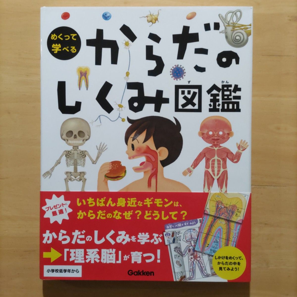 めくって学べる しくみ図鑑 からだのしくみ図鑑・せかいの図鑑・てんき