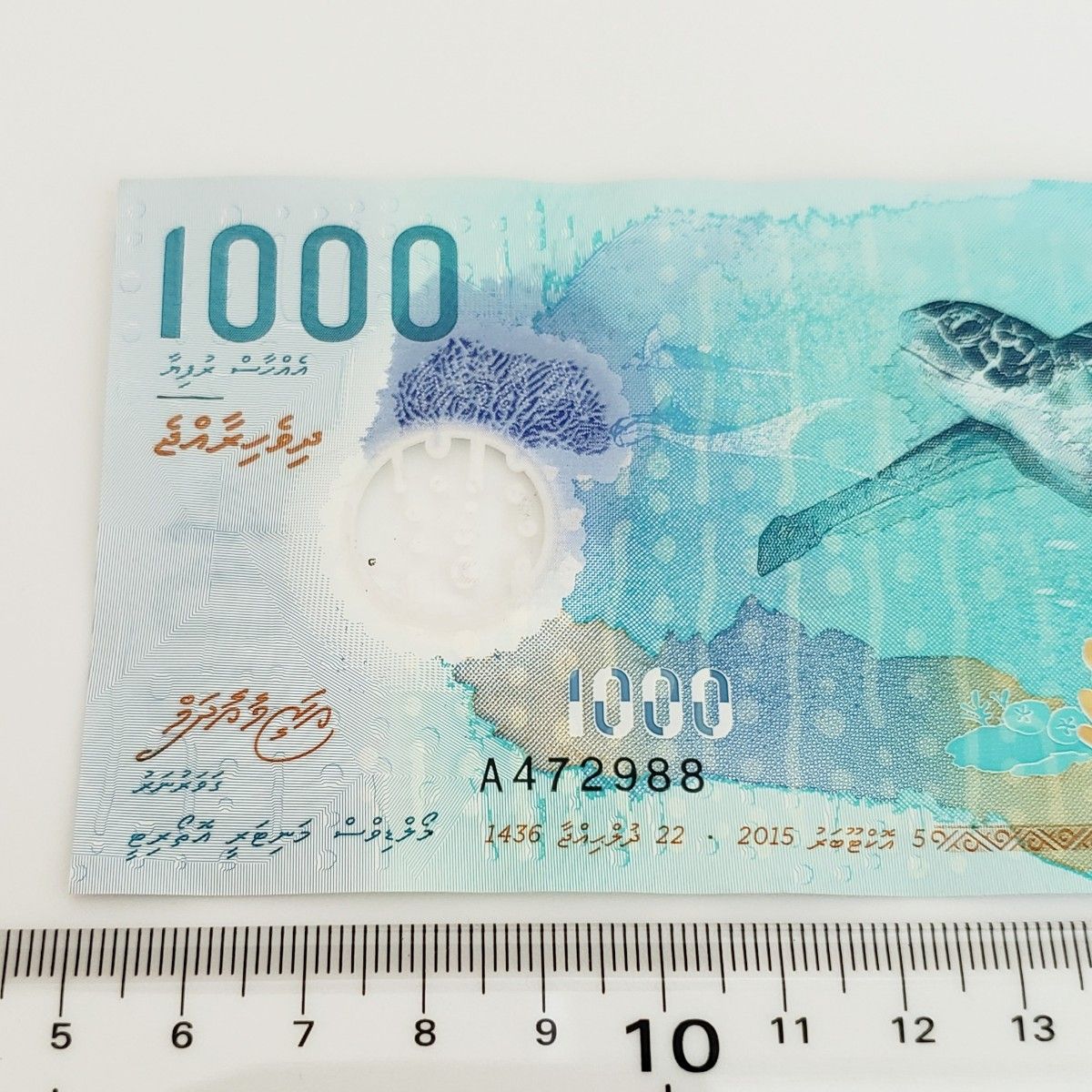 モルディブ 1000Rufiyaa 1000ルフィア紙幣 ジンベイザメ ウミガメ 希少