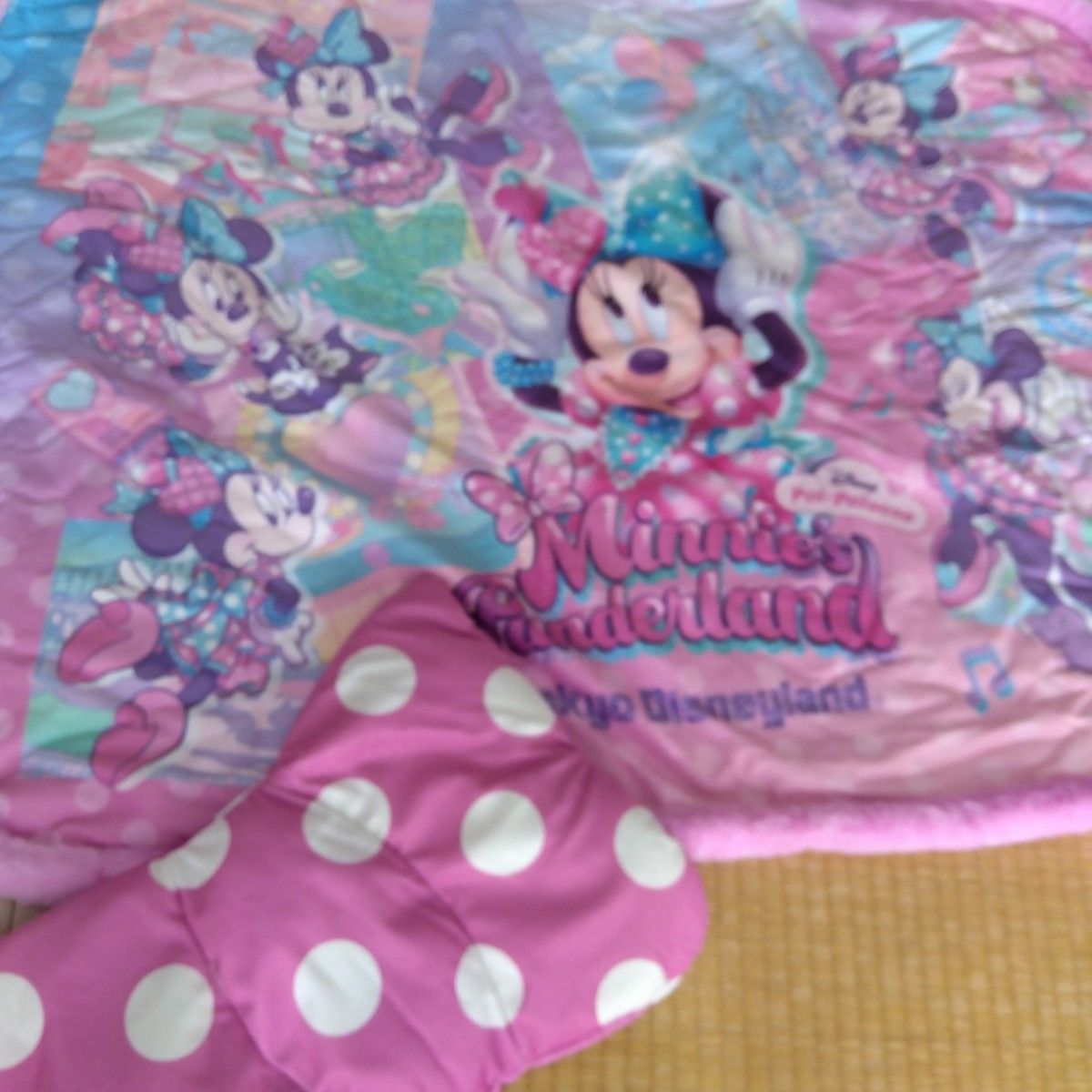 東京ディズニーリゾート 公式パルパルーザ ミニーマウス ミニー ファン