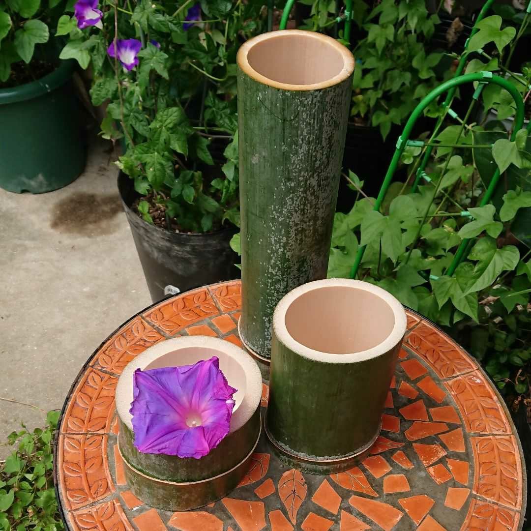 青竹 (孟宗竹) 花器｜Yahoo!フリマ（旧PayPayフリマ）