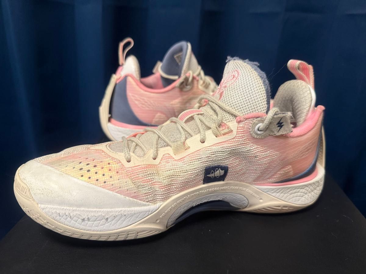 25cm 【日本サイズ25 5cm】Li-Ning リーニン WADE SHADOW 5 V2