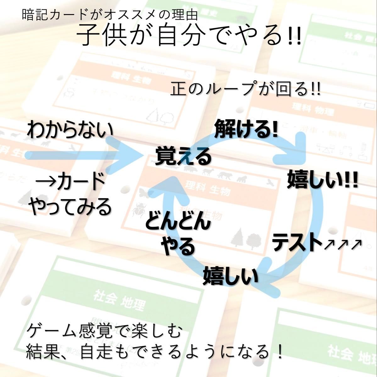 中学受験 暗記カード【5年下 国語1-4回】 予習シリーズ 組み分け対策