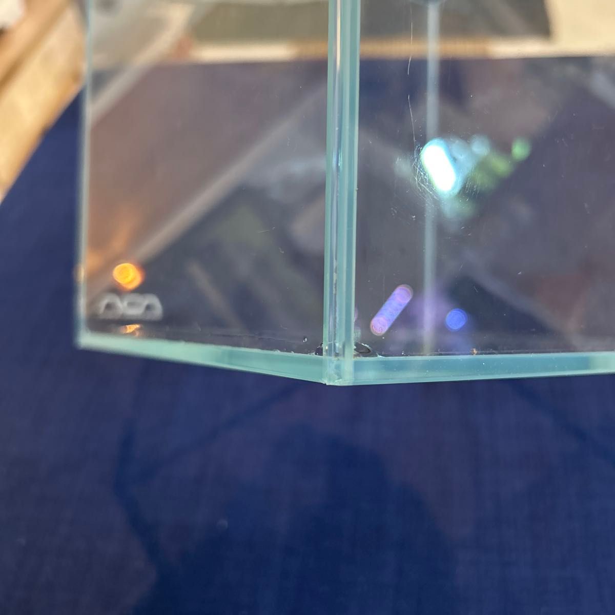 ADA CUBE GARDEN キューブガーデン 20cm 3個セット おまけ付き｜Yahoo